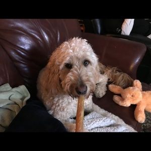 Meet your Posher, Barbara